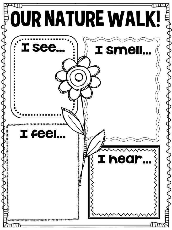 nature activity sheets printable