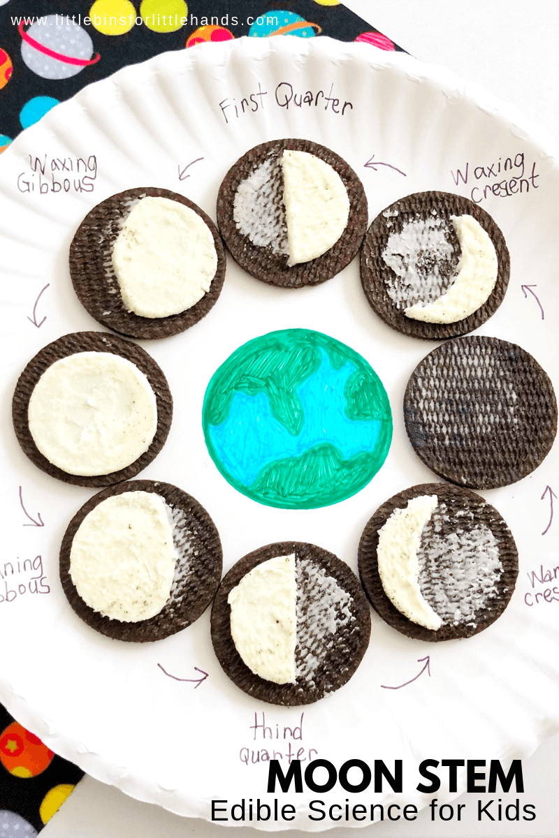 moon phases printable activity
