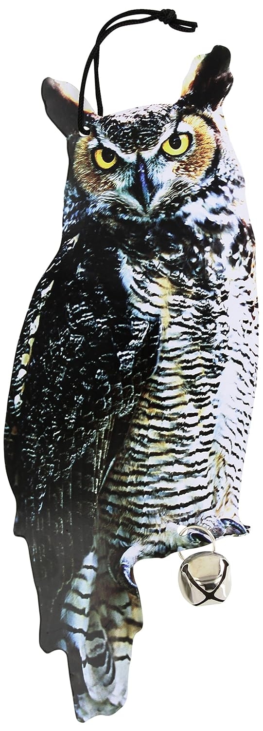 Printable Owl Pictures To Scare Birds