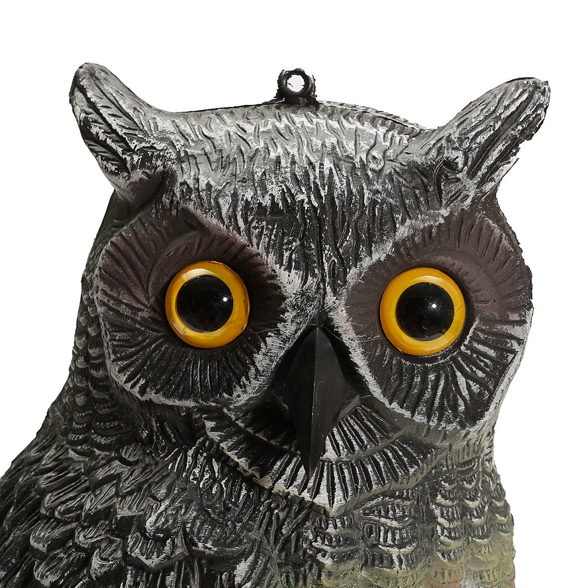 Printable Owl Pictures To Scare Birds