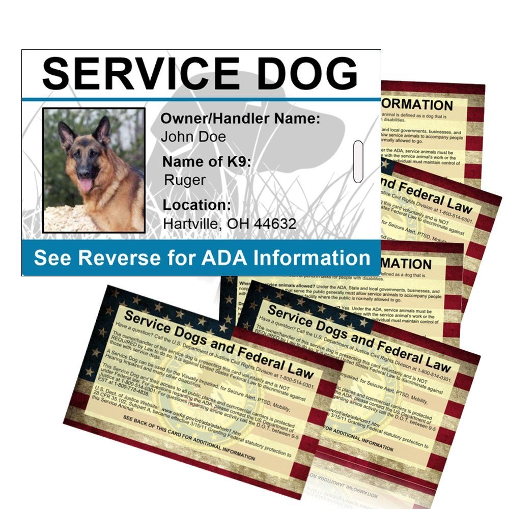 Printable Pet Id Card Template Printable Calendar