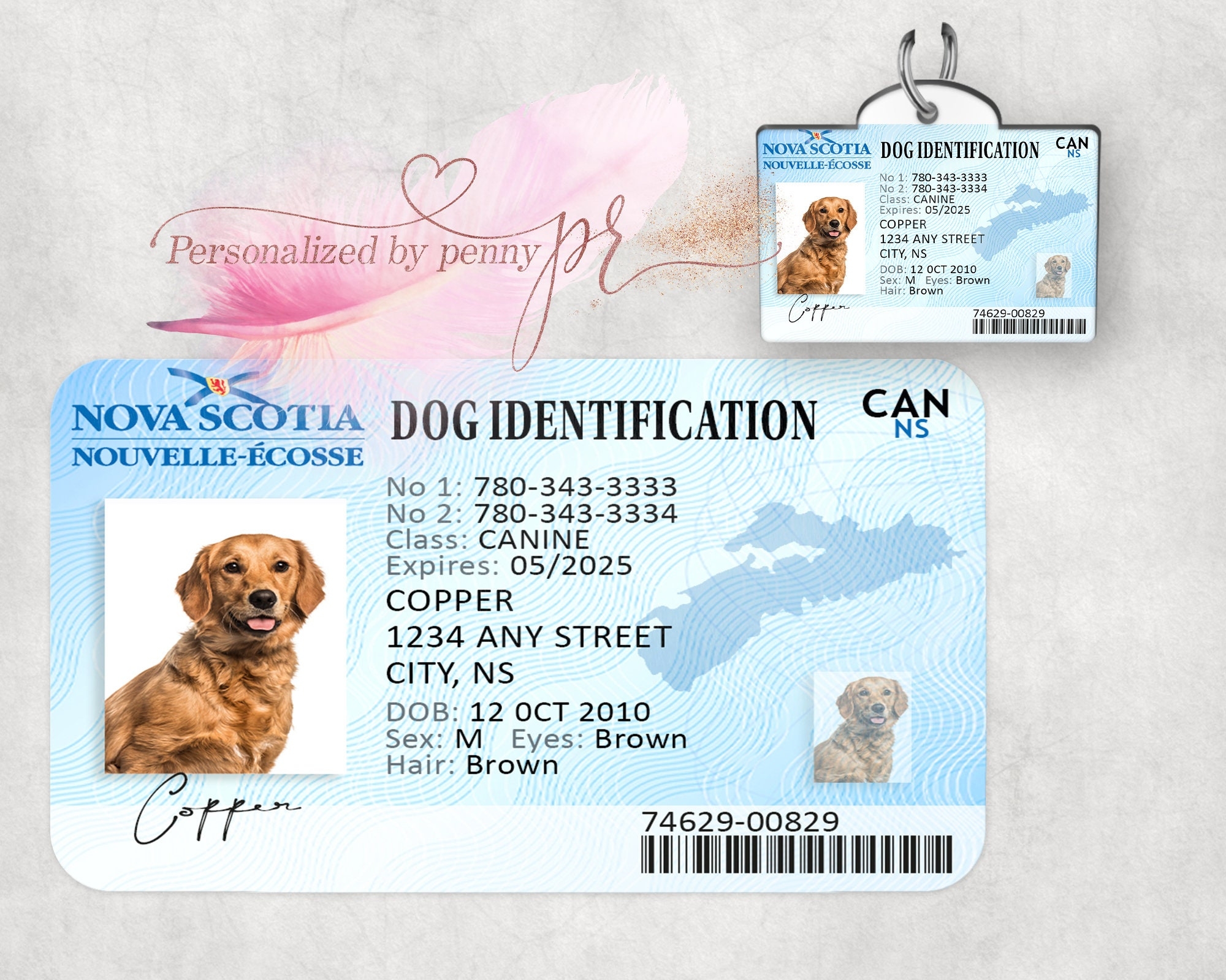 Printable Pet Id Card Template