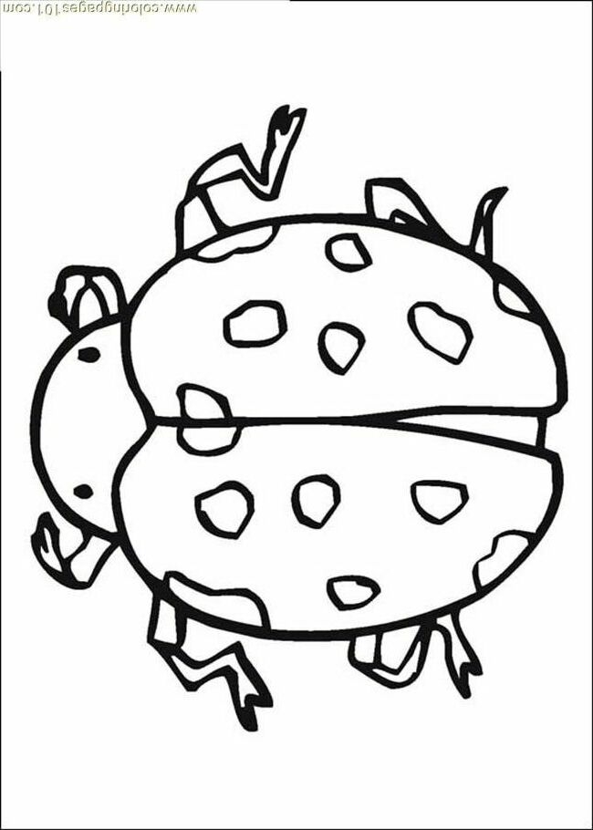 Printable Pictures Of Insects Coloring Home