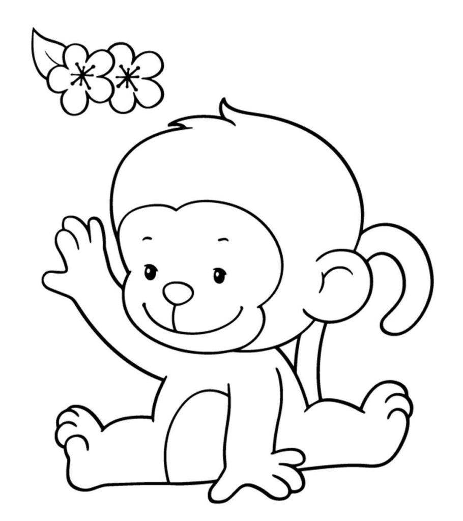printable pictures of monkeys