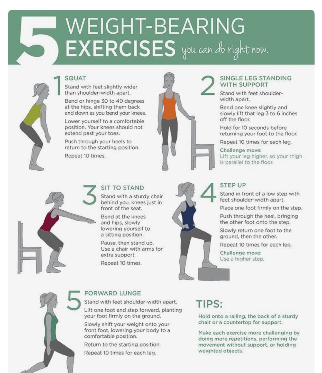 Printable Pictures Of Weight Bearing Exercises For Osteoporosis 