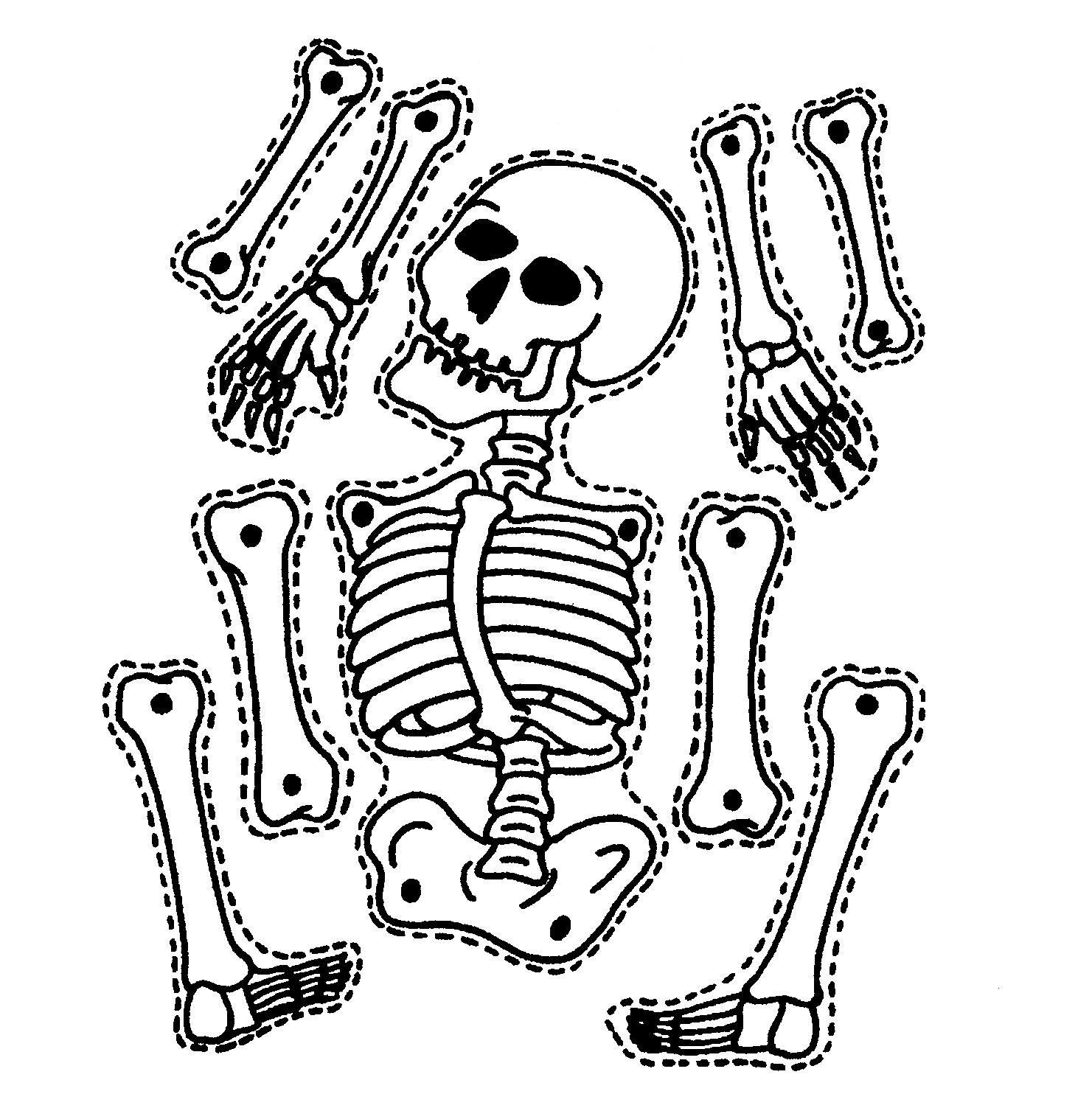 Printable Skeleton Puzzle Printable Crossword Puzzles