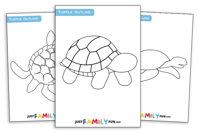 Printable Turtle Outline Template