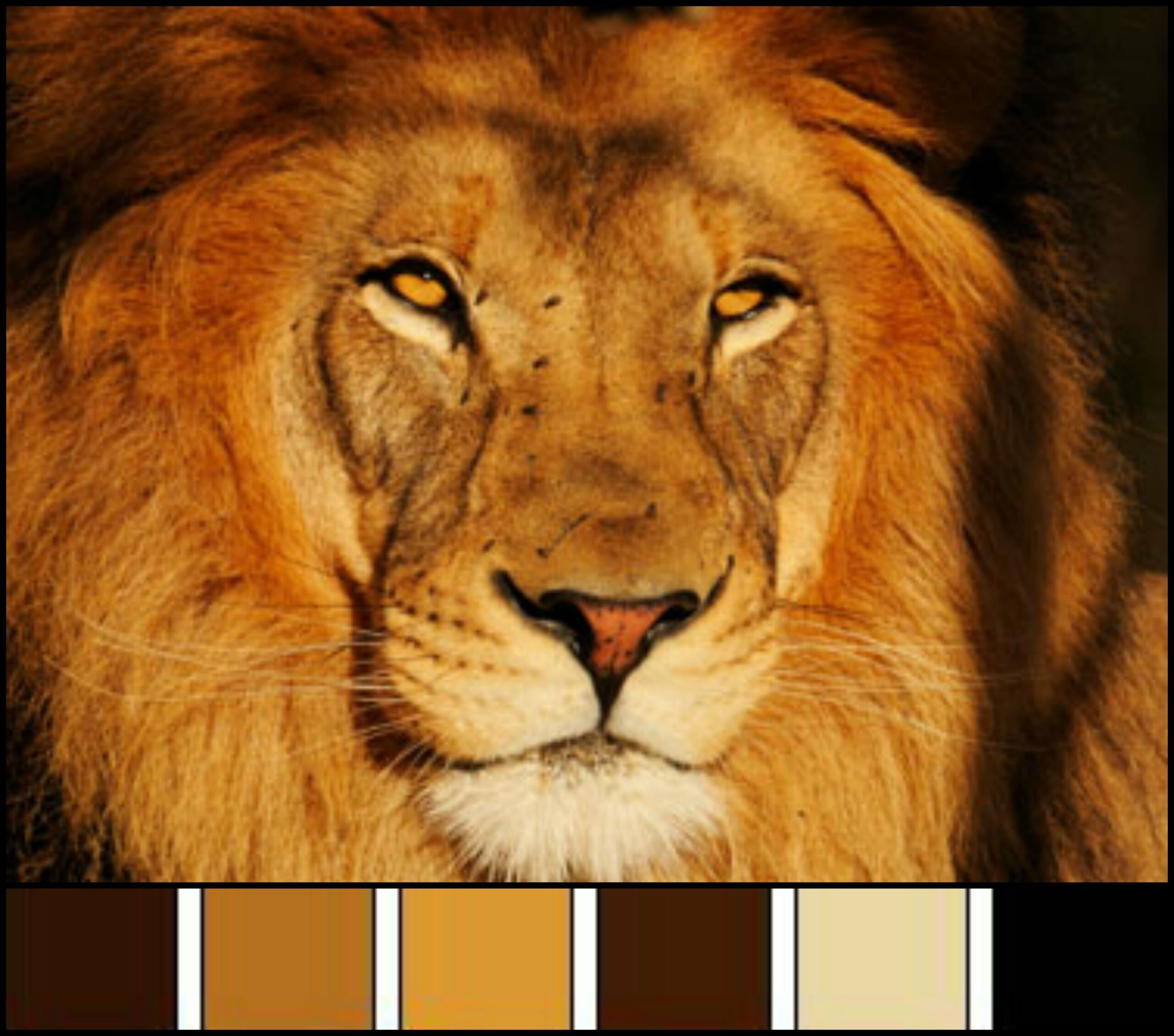  quot Majestic Lion Palette quot This Majestic Lion Is The Inspiration For An 