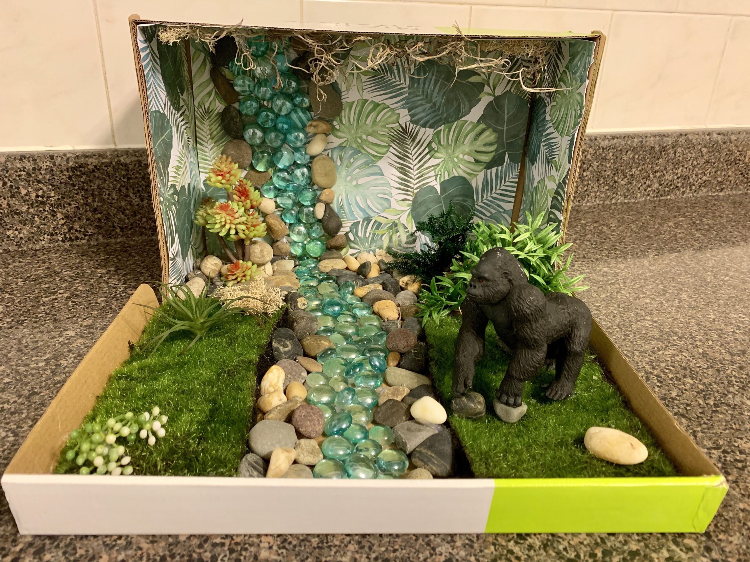 Rainforest Habitat Diorama animals Are Printable Rainforest Project 