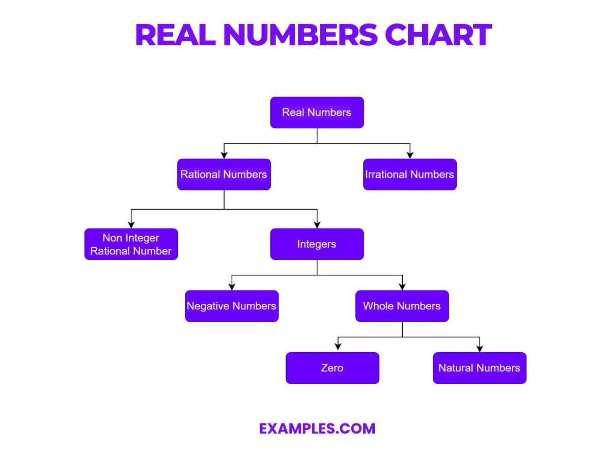 Real Numbers Examples Worksheets Library