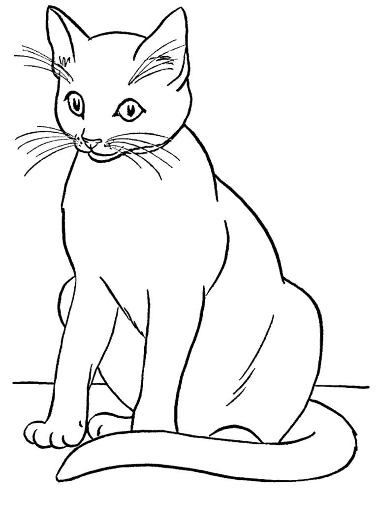 printable cat coloring pictures