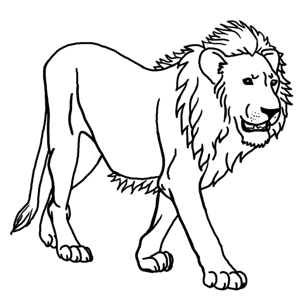Realistic Lion Roaring Coloring Pages Coloring Pages