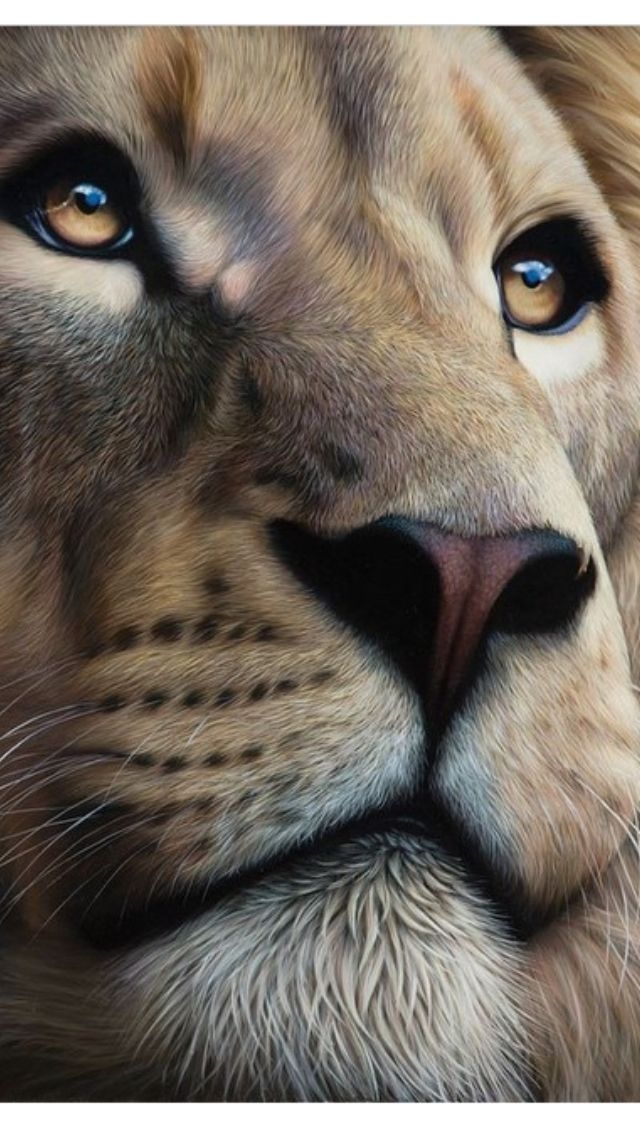 Roaring Lion Painting At PaintingValley Explore Collection Of 