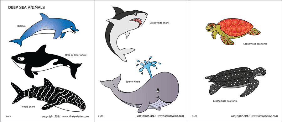 Sea Animals Free Printable Templates Coloring Pages FirstPalette