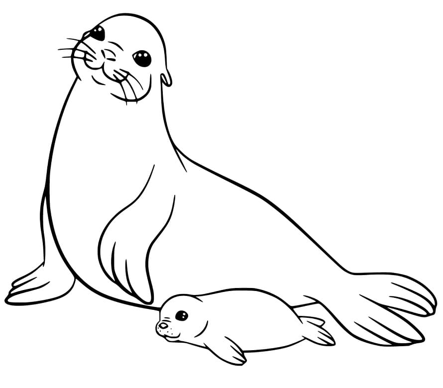 sea lion coloring pages