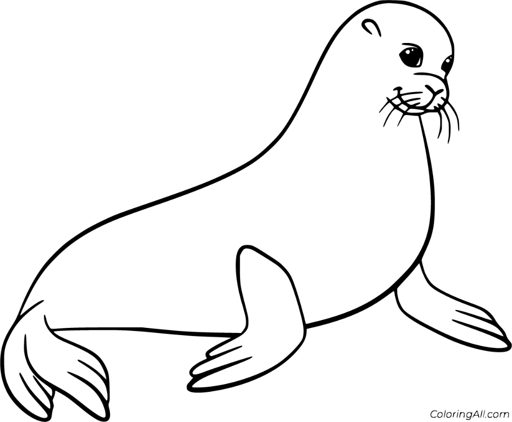 Sea Lion Coloring Sheet