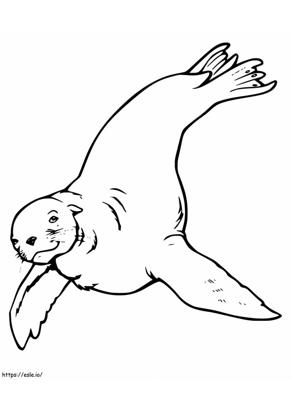 Sea Lion Printable Coloring Page