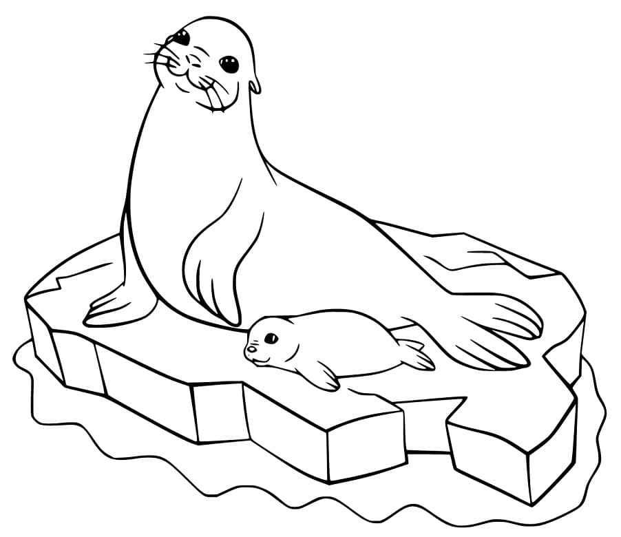Sea Lions Coloring Play Free Coloring Game Online