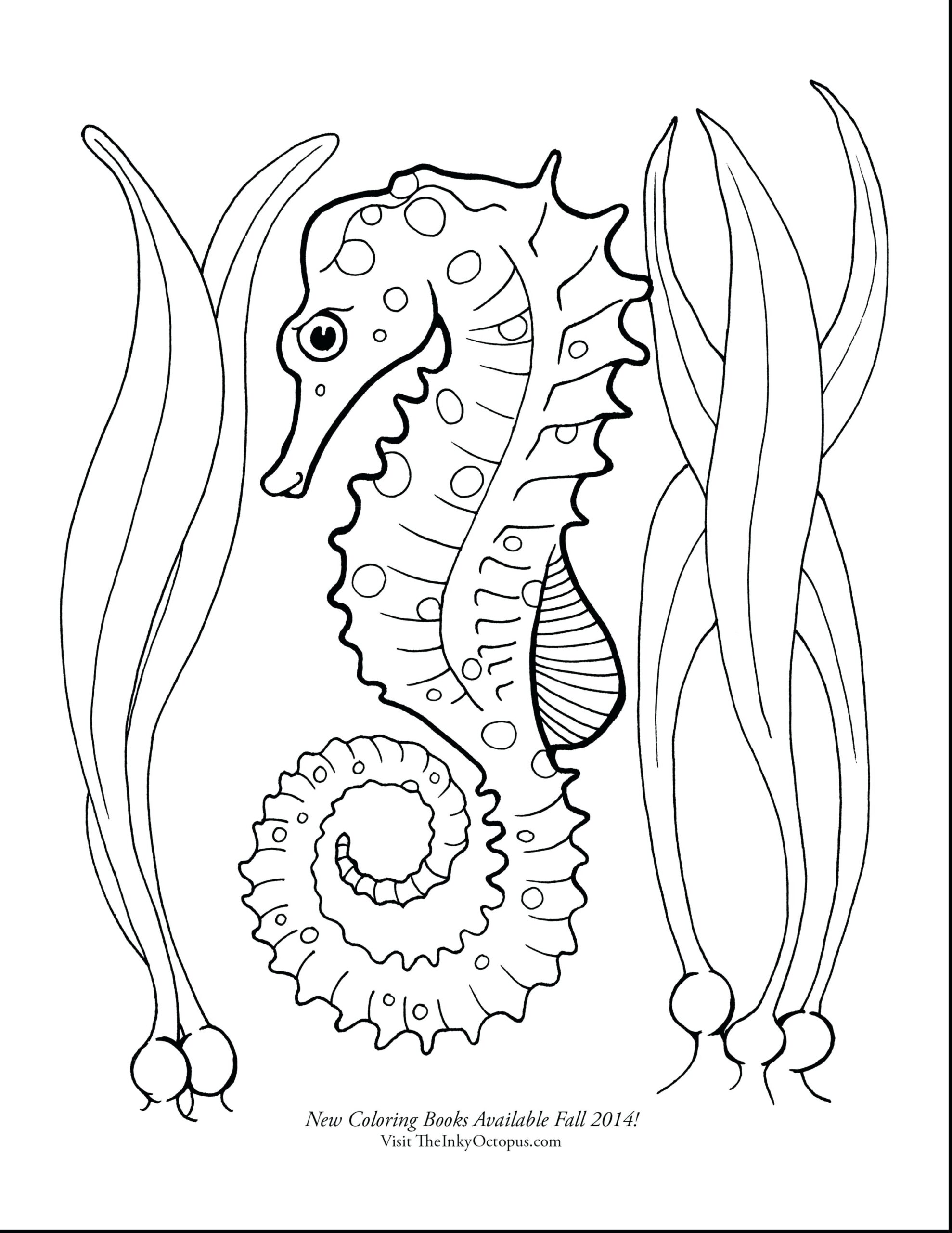 Seahorse Printable Printable Word Searches