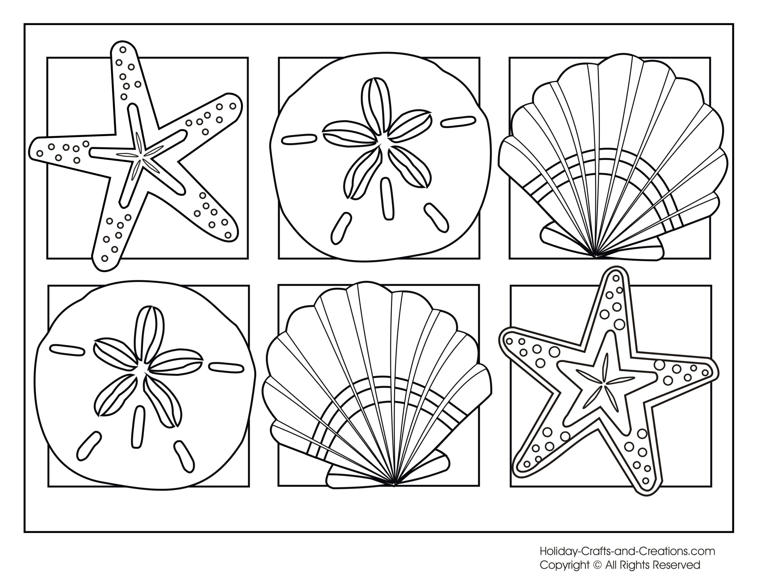 Seashells Coloring Pages Coloring Home