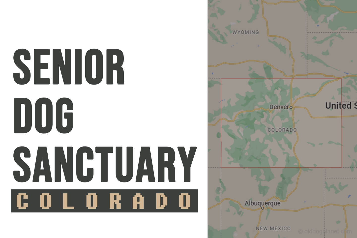 lion sanctuary colorado