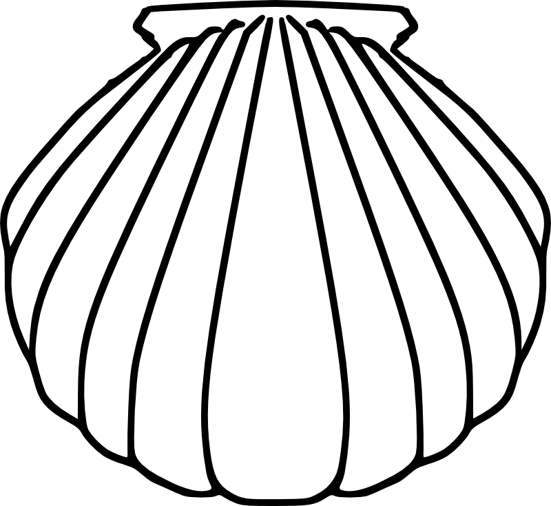 Shell Template ClipArt Best
