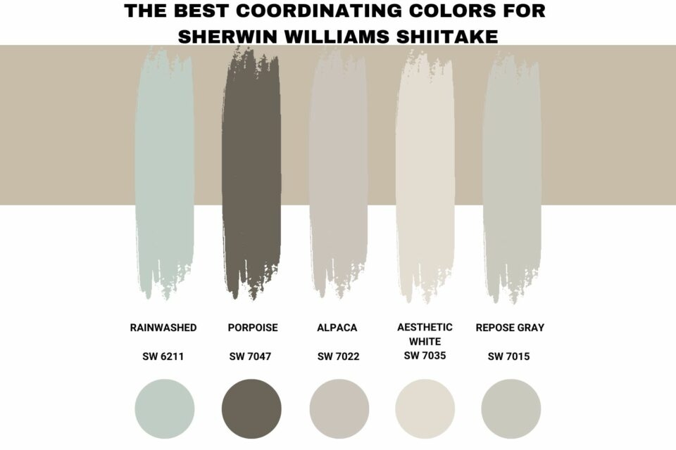 sherwin williams stone lion coordinating colors
