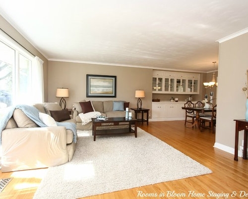 Sherwin Williams Stone Lion Houzz