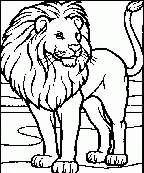 Smiling Lion Color Page Lion Coloring Pages Animal Coloring Pages 