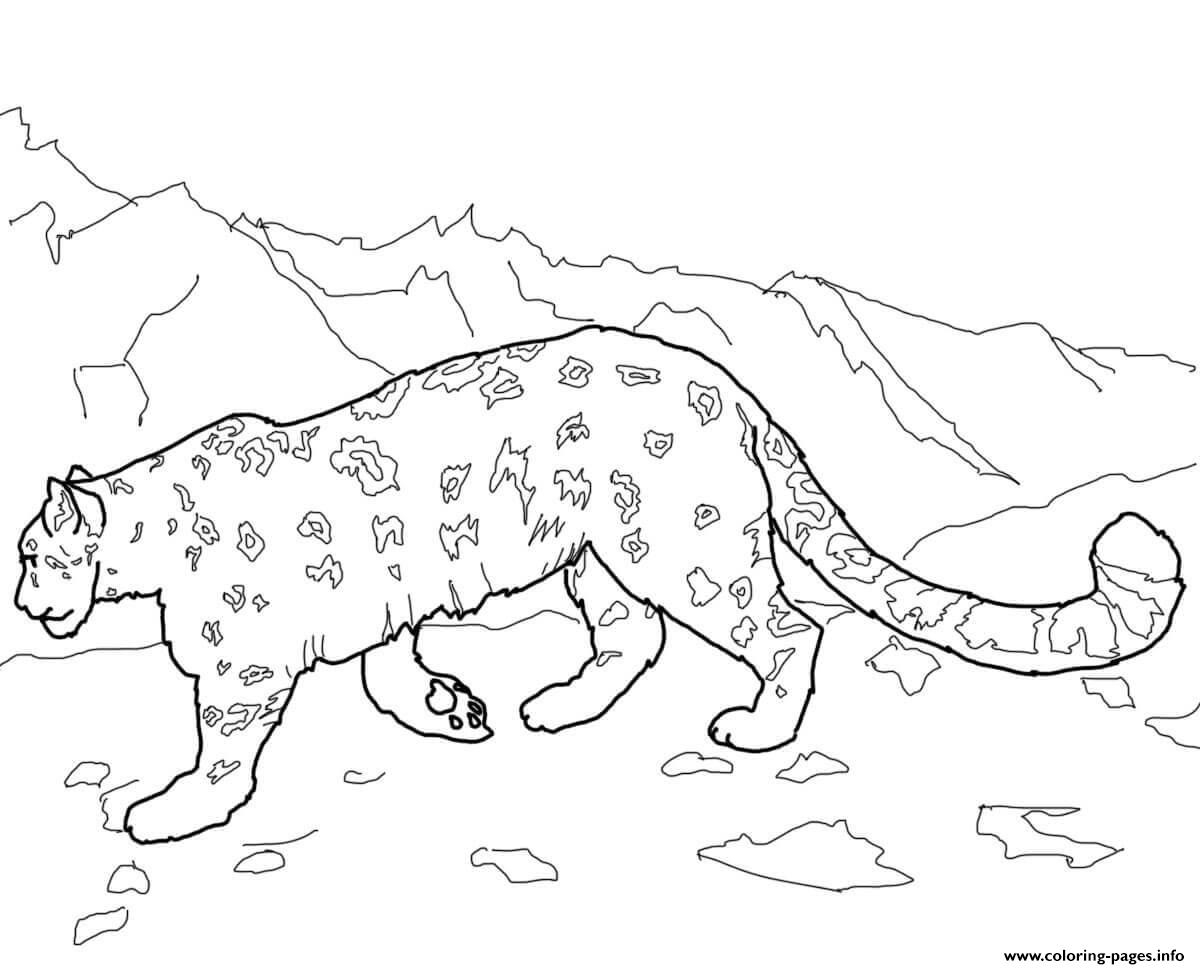 Snow Leopards Animal Coloring Page Printable