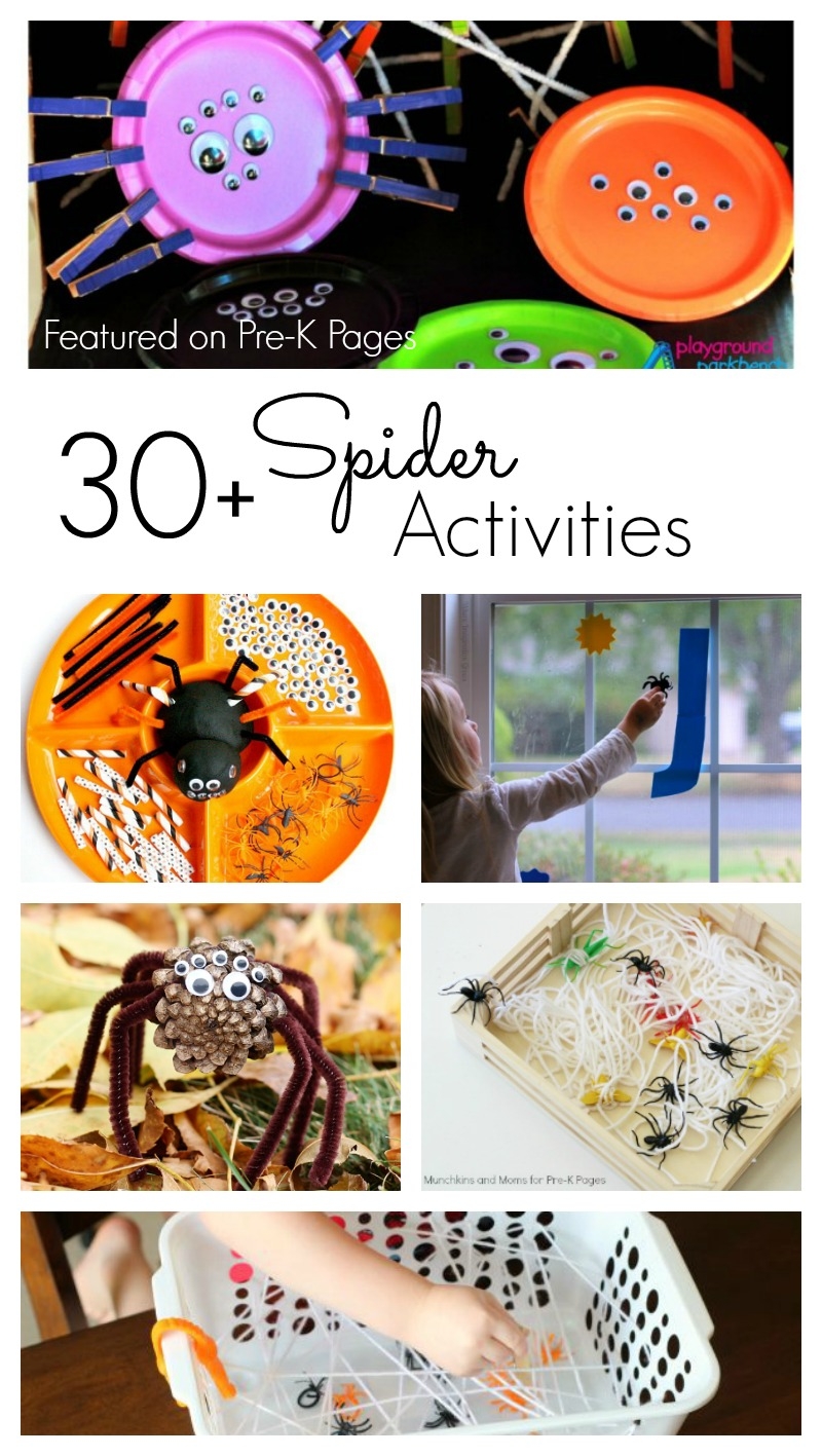 Spider Activities For Preschoolers Pre K Pages