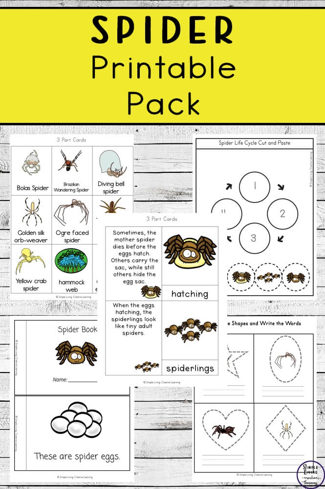 printable spider activities for preschoolers