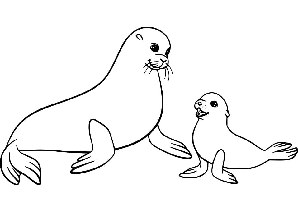 what color are sea lions