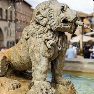 Stone Lion Get Answers For One Clue Crossword Now