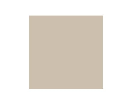 Stone Lion SW7507 Paint By Sherwin Williams Modlar