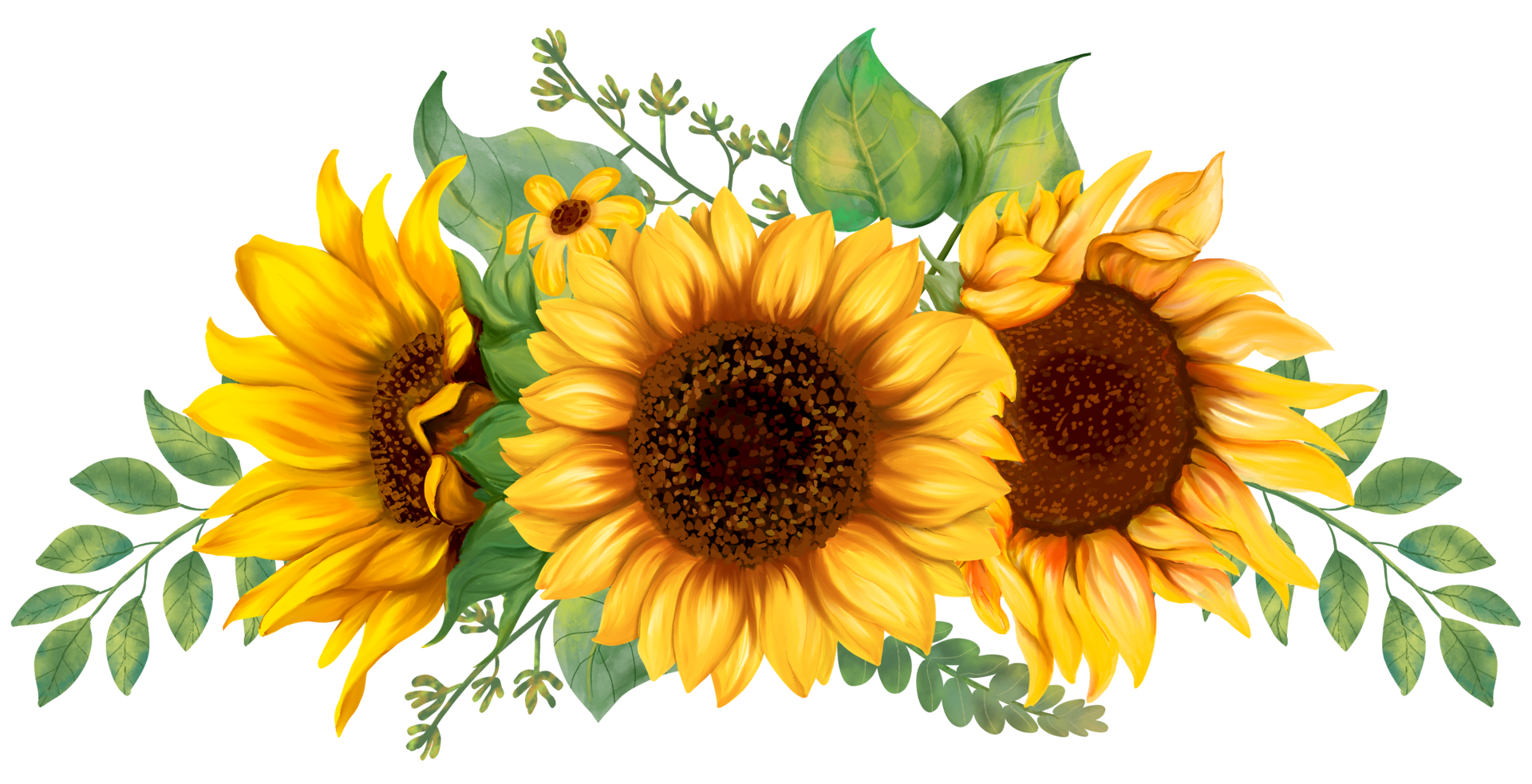 free printable pictures of sunflowers