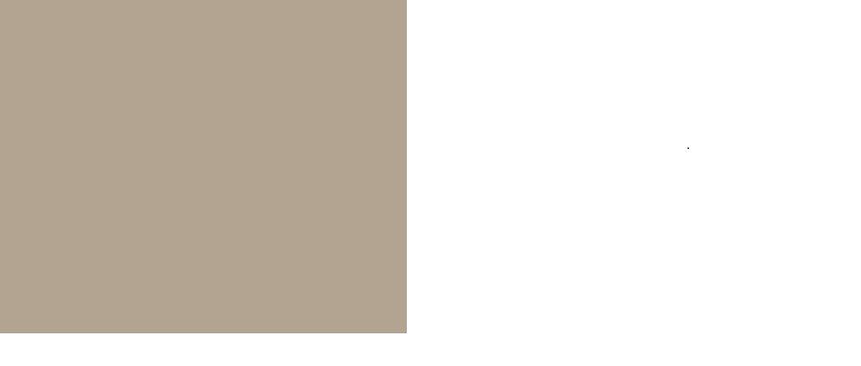 Sw Stone Lion Paint Color Paint Color Ideas