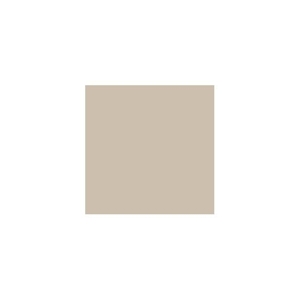 lion paint color