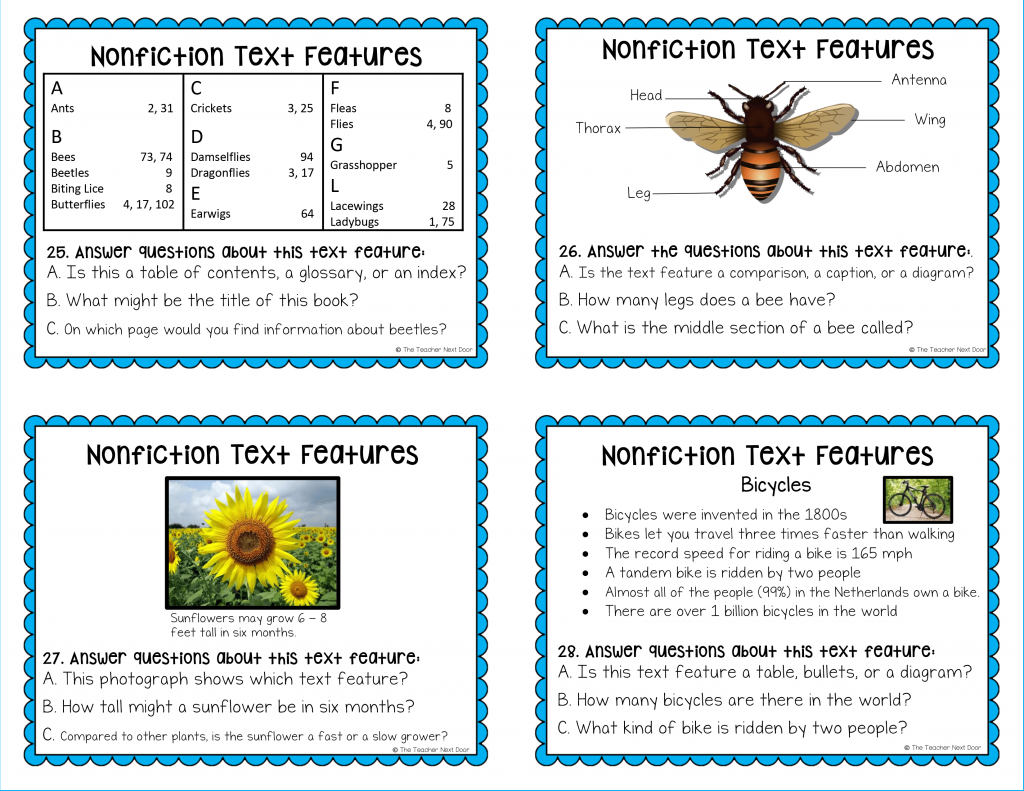 nonfiction text features activities for 3rd grade printable