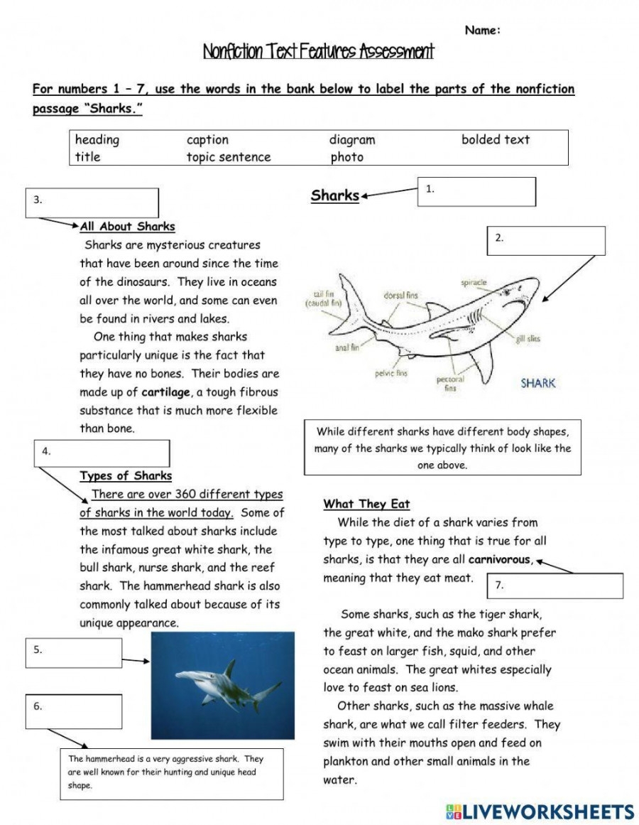 Text Features Worksheet 3rd Grade Printable PDF Template