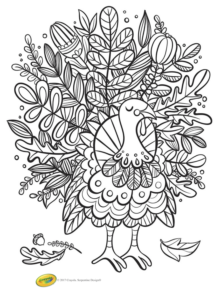 Thanksgiving Activity Pages Printable Printable Word Searches