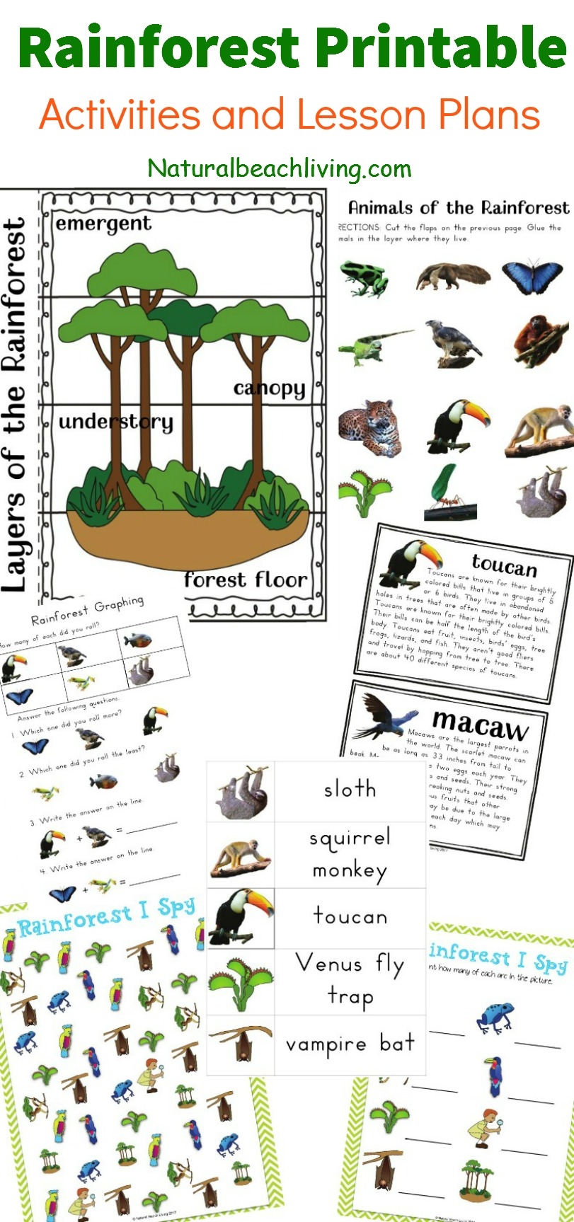 The Best Rainforest Printable Activities For Kids Natural Beach Living