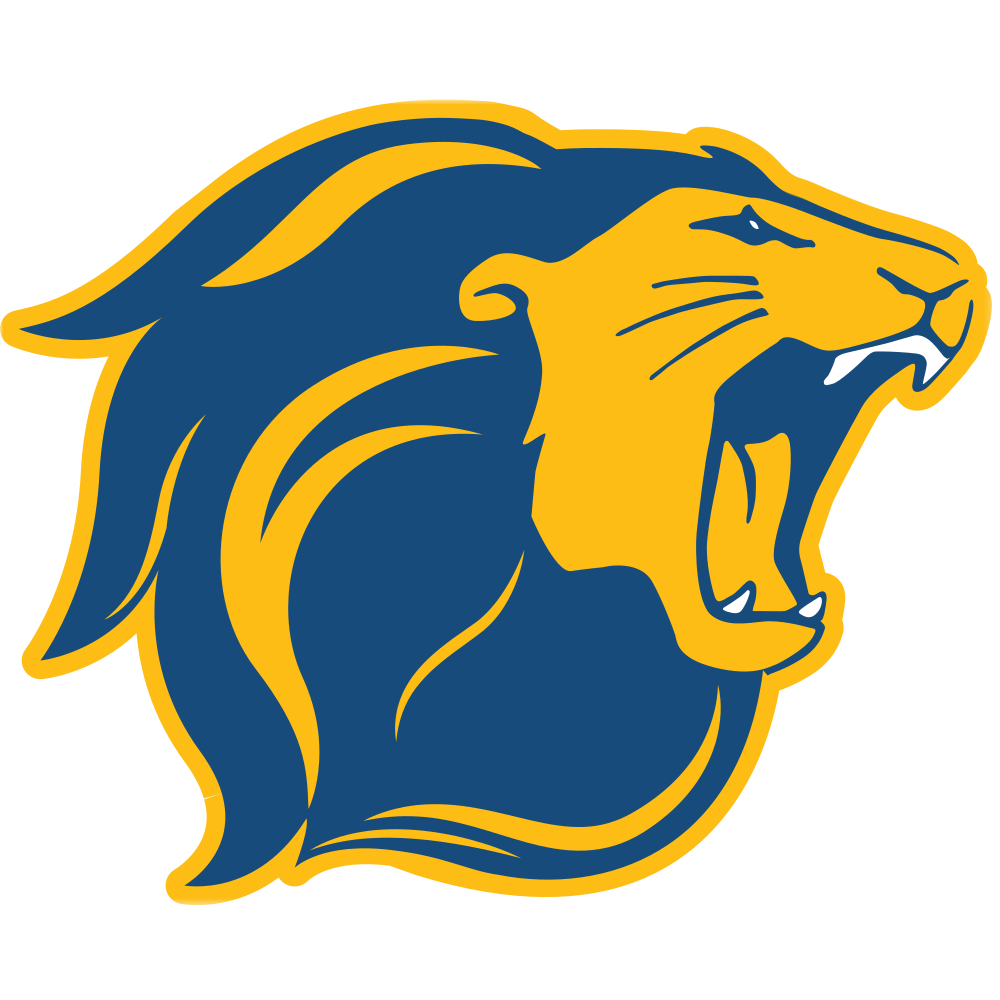 lions jersey colors