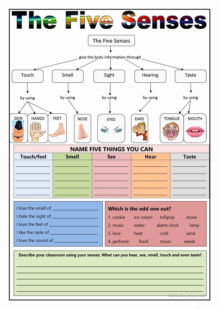 The Five Senses Worksheets Inspirational The Five Senses Worksheet Free 