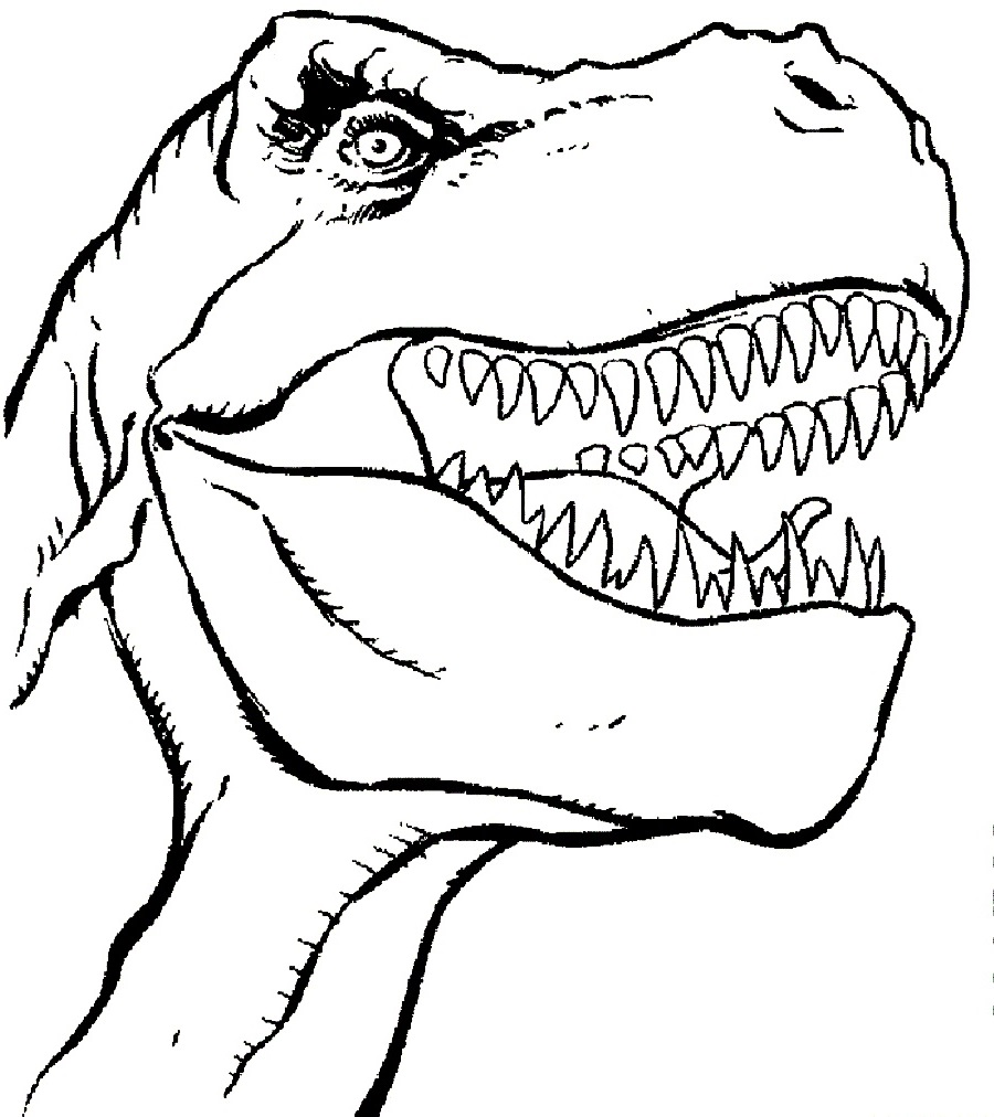 printable tyrannosaurus rex pictures