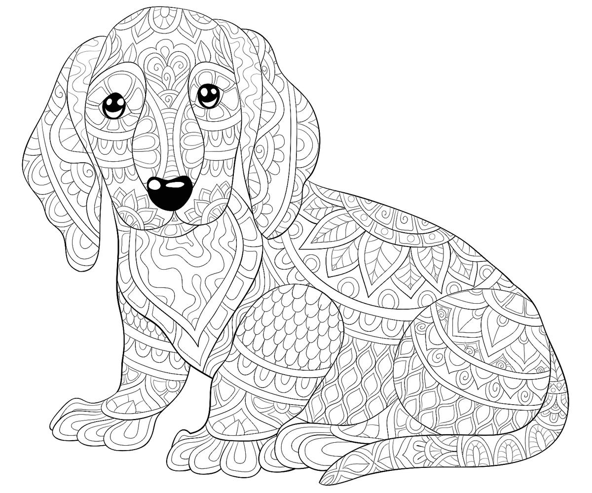 pictures of dogs printable