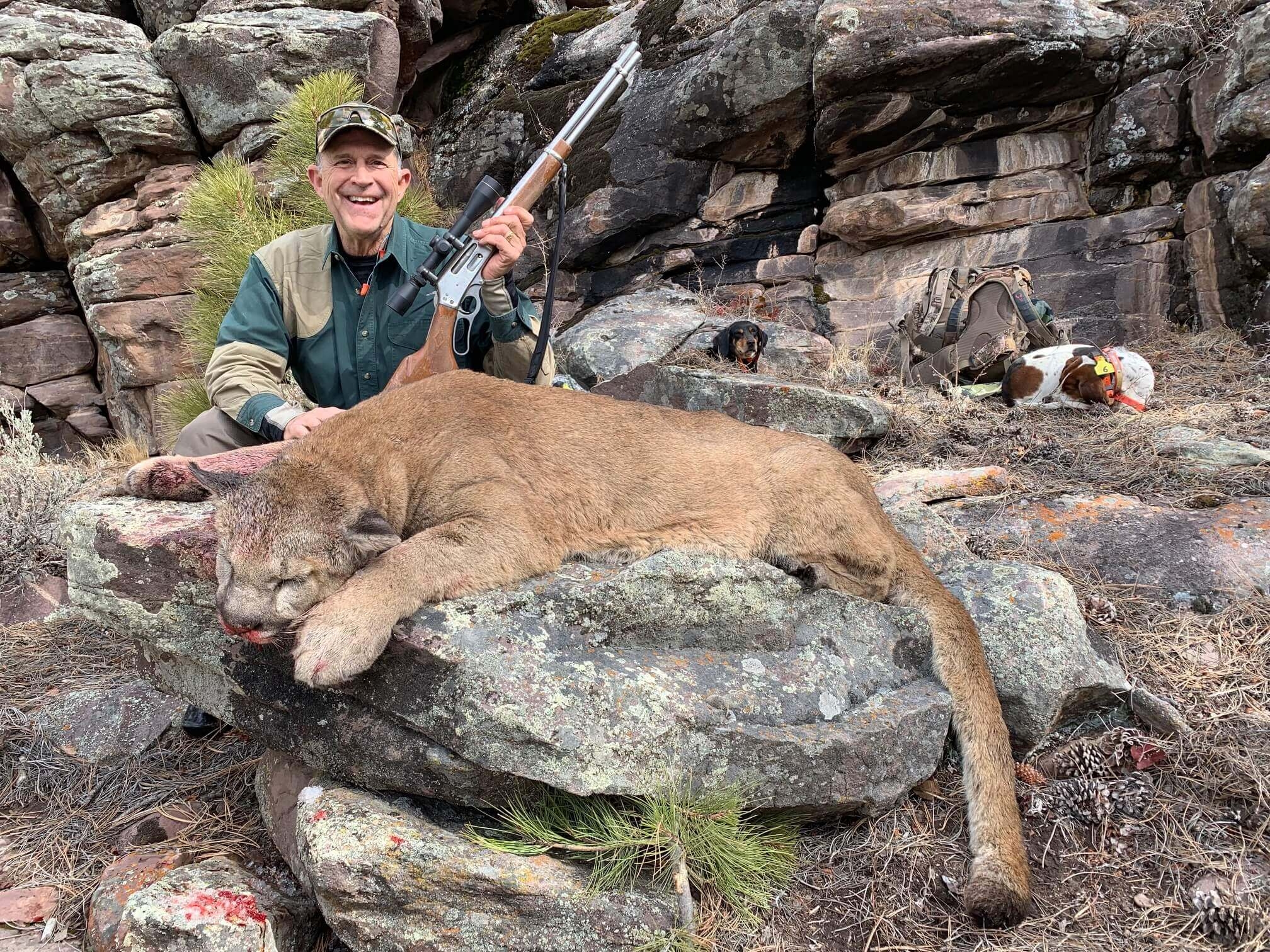 Utah Colorado Mountain Lion Hunt