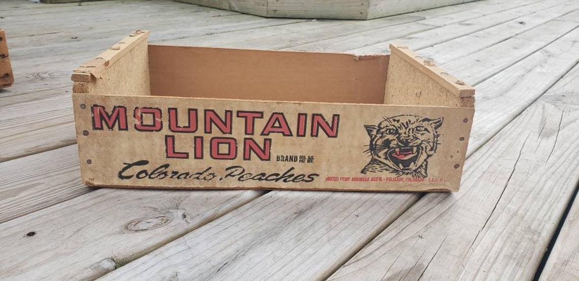 colorado mountain lion peaches