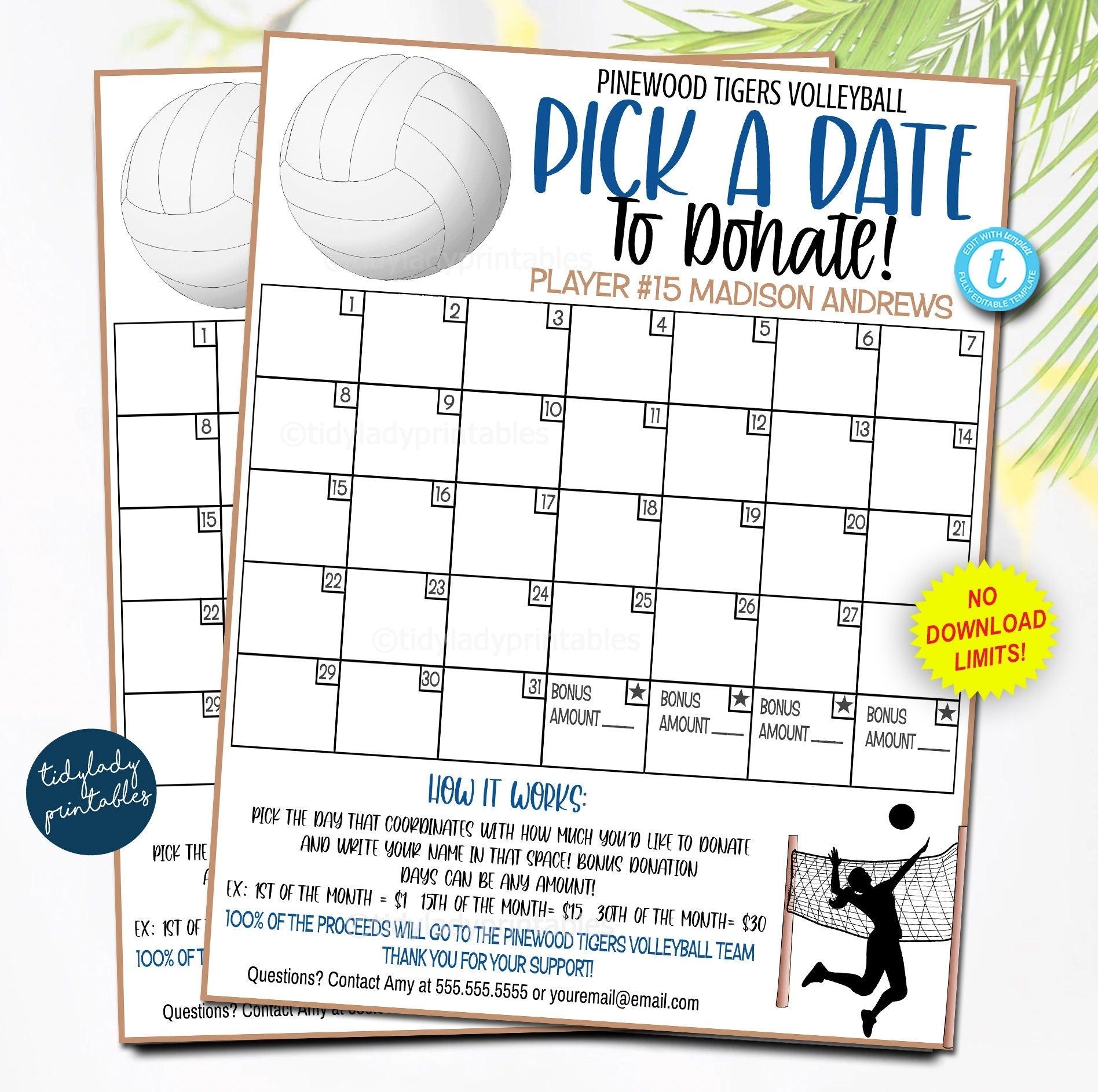 Volleyball Pick A Date To Donate Printable Flyer TidyLady Printables