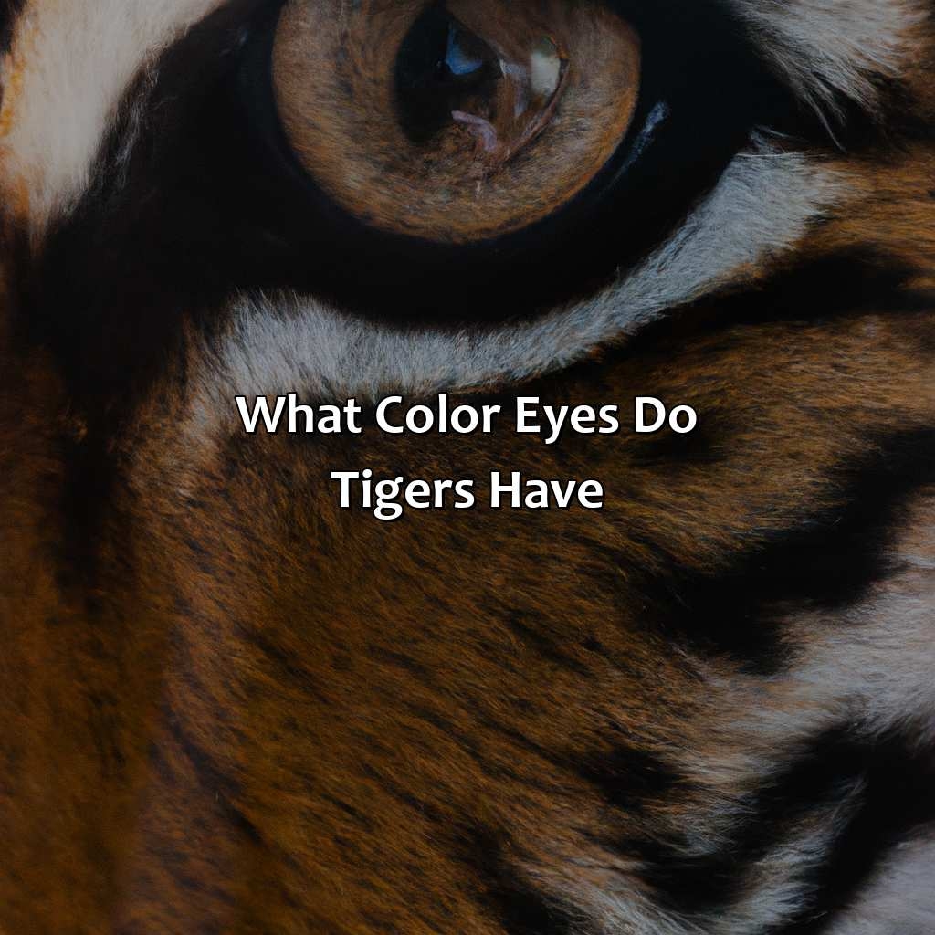 What Color Are Lions Colorscombo